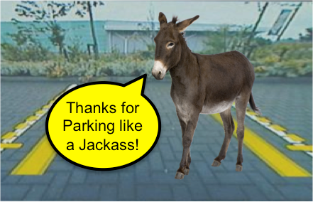 Thanks for parking like a jackass backup camera prank